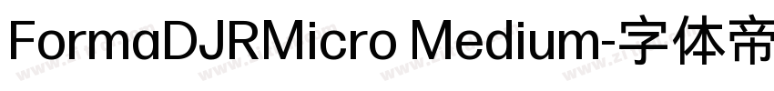 FormaDJRMicro Medium字体转换